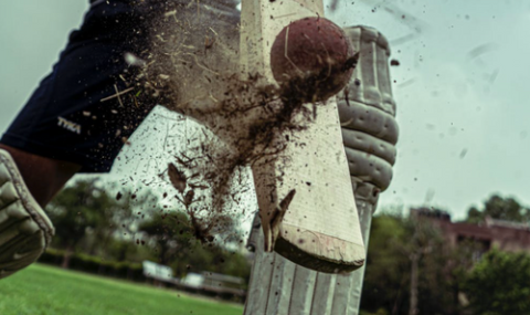 Cricket Image